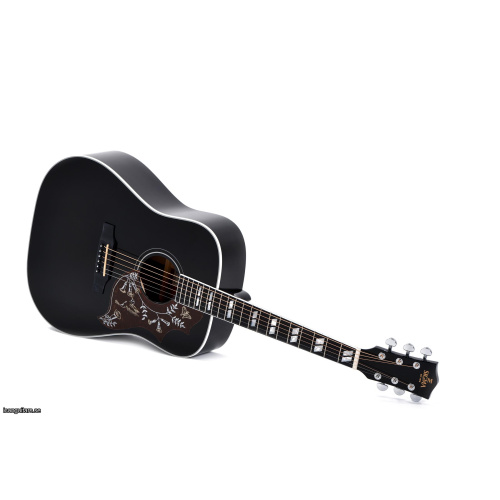 Sigma Guitars DM-SG5-BK