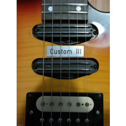 Egnatur Custom III + SP Headless 3 tone SB Trem2 Demo